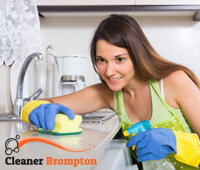 domestic_cleaning